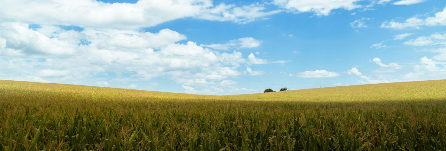 L’expansion des marques agroalimentaires françaises dans les pays émergents : Opportunités et défis